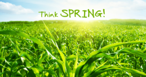Think Spring!